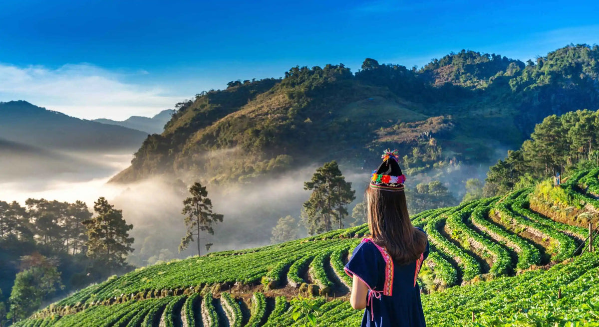 Frau in traditioneller Kleidung mit bunter Mütze blickt über terrassierte Felder und nebelverhangene Berge in Nordthailand