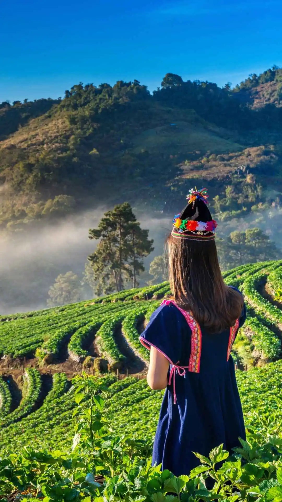 Frau in traditioneller Kleidung mit bunter Mütze blickt über terrassierte Felder und nebelverhangene Berge in Nordthailand